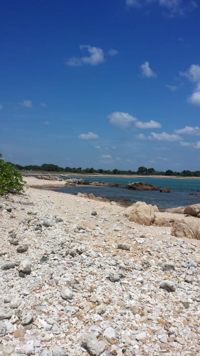 Strand Jungle Beach by Uga Escapes