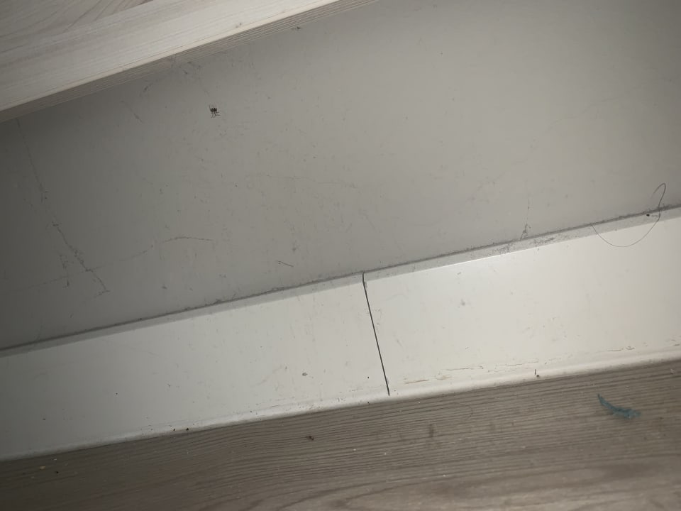 Zimmer Hotel Sipar Plava Laguna