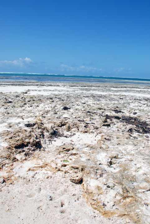 "Strand" vor dem LTI Kaskazi Beach Resort