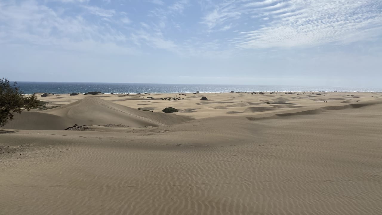 Ausblick Hotel Riu Palace Oasis