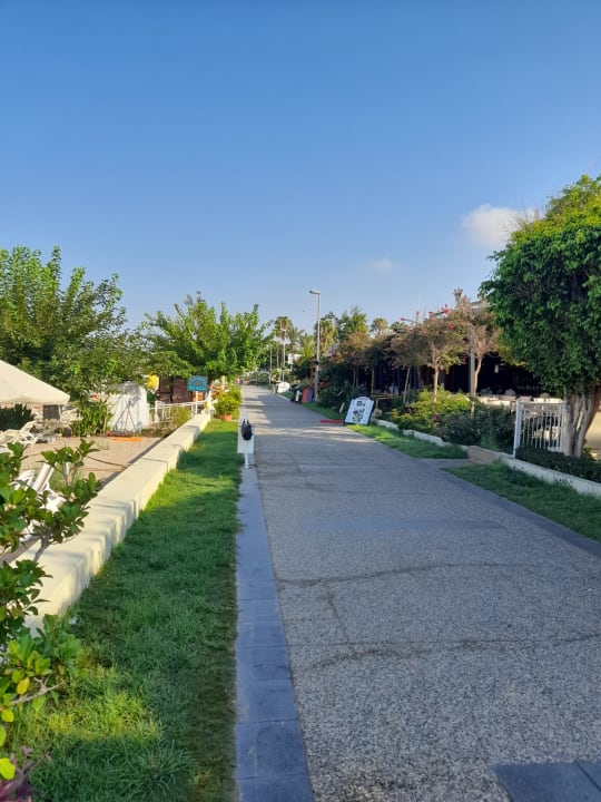 Gartenanlage Trendy Side Beach Hotel - Adults only