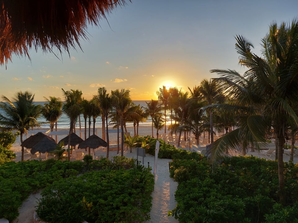 Ausblick Catalonia Playa Maroma