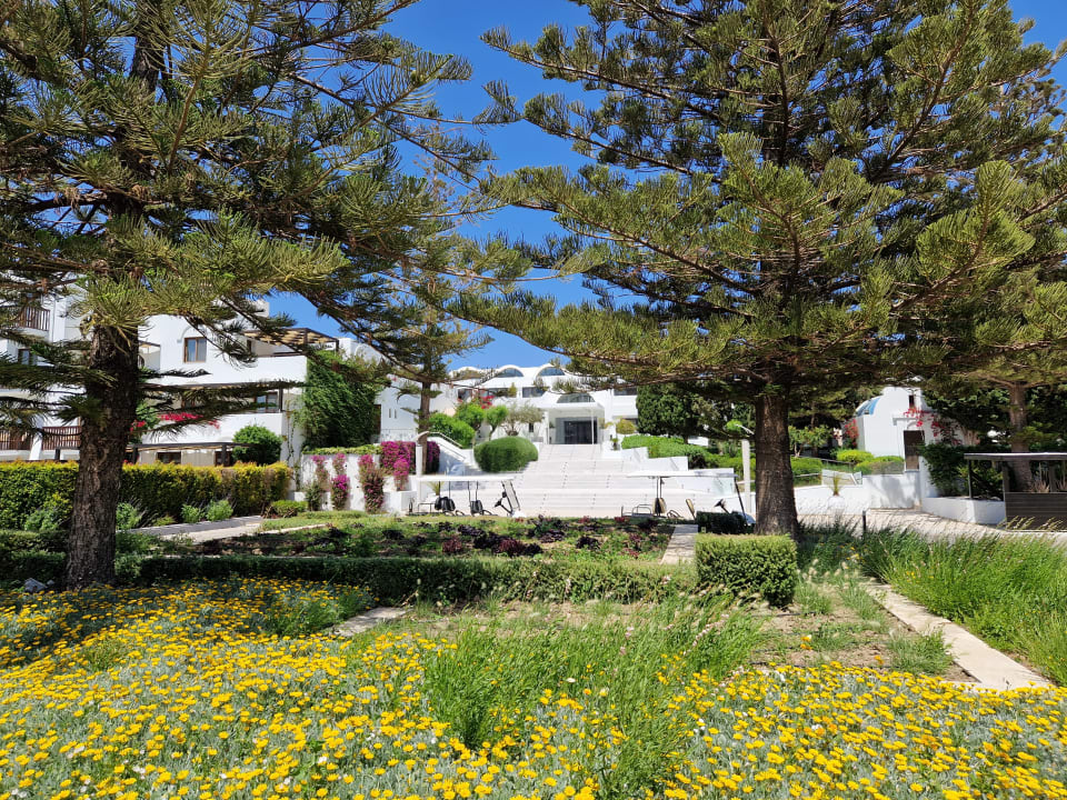 Außenansicht TUI BLUE Oceanis Beach and Spa Resort