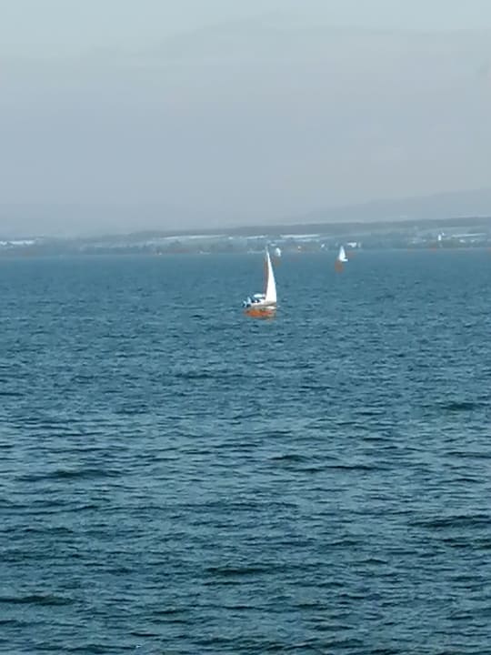 Ausblick Seehotel Zur Münz