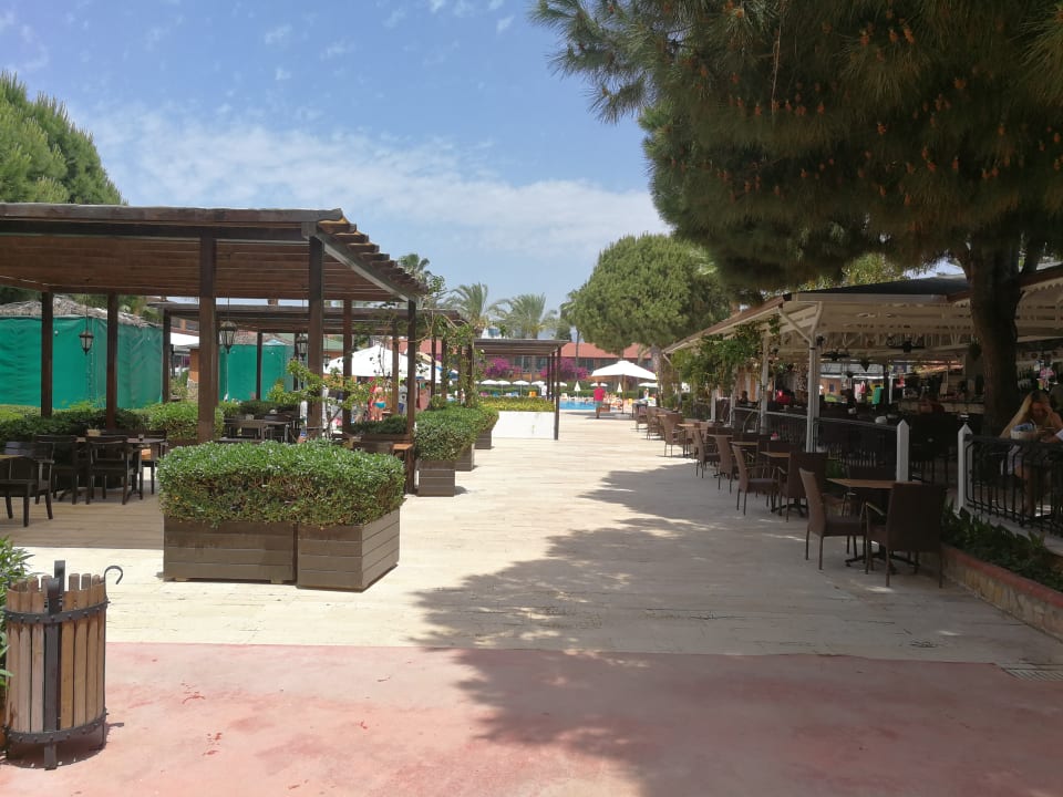 Gastro Club Turtas Beach Hotel