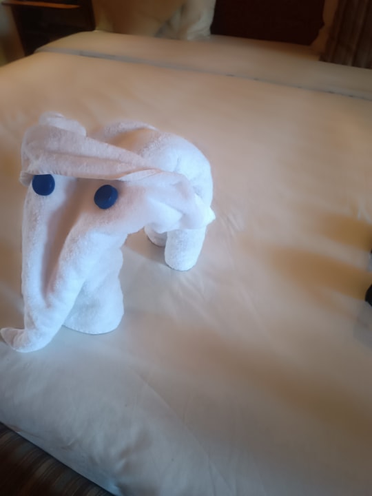 Zimmer Grand Waterworld Makadi & Family Star Makadi