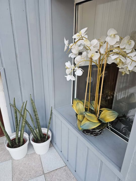 Sonstiges Pension Burger - Bed & Breakfast