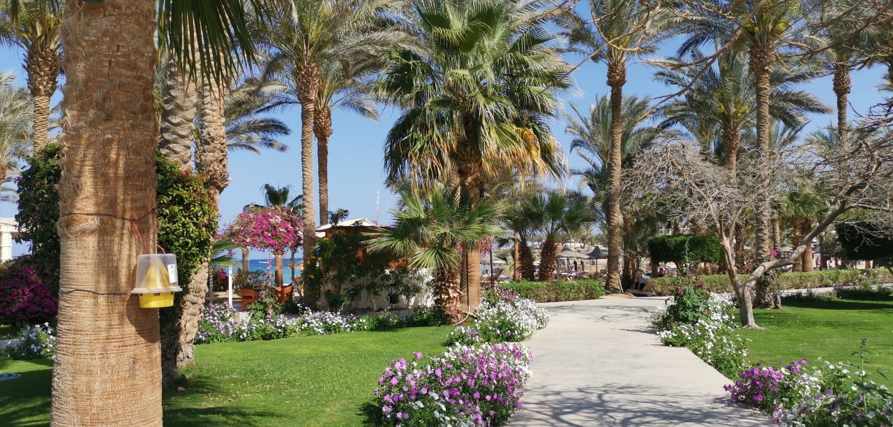 Gartenanlage Brayka Bay Resort