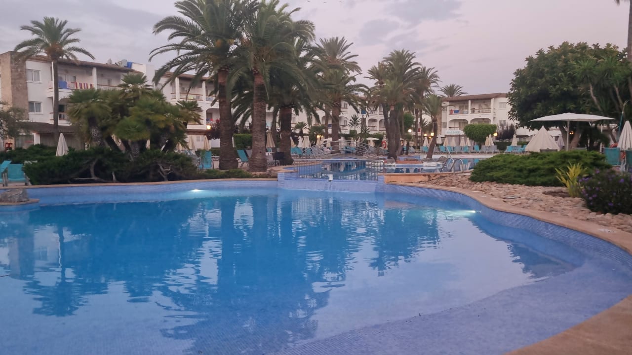 Pool Alcudia Garden Aparthotel