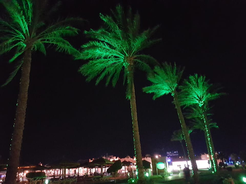 Sonstiges SUNRISE Royal Makadi Resort