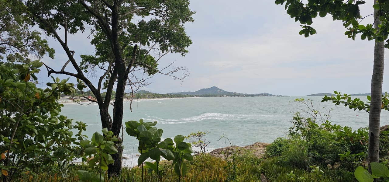 Ausblick The Fair House Beach Resort