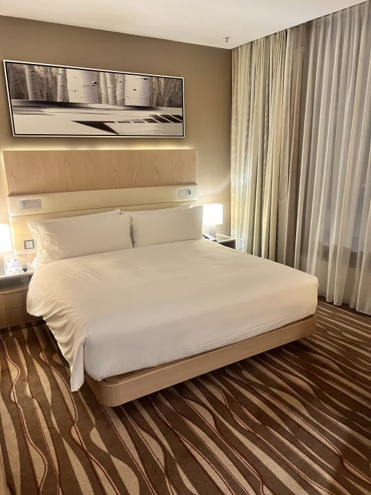 Zimmer Hilton Frankfurt Airport