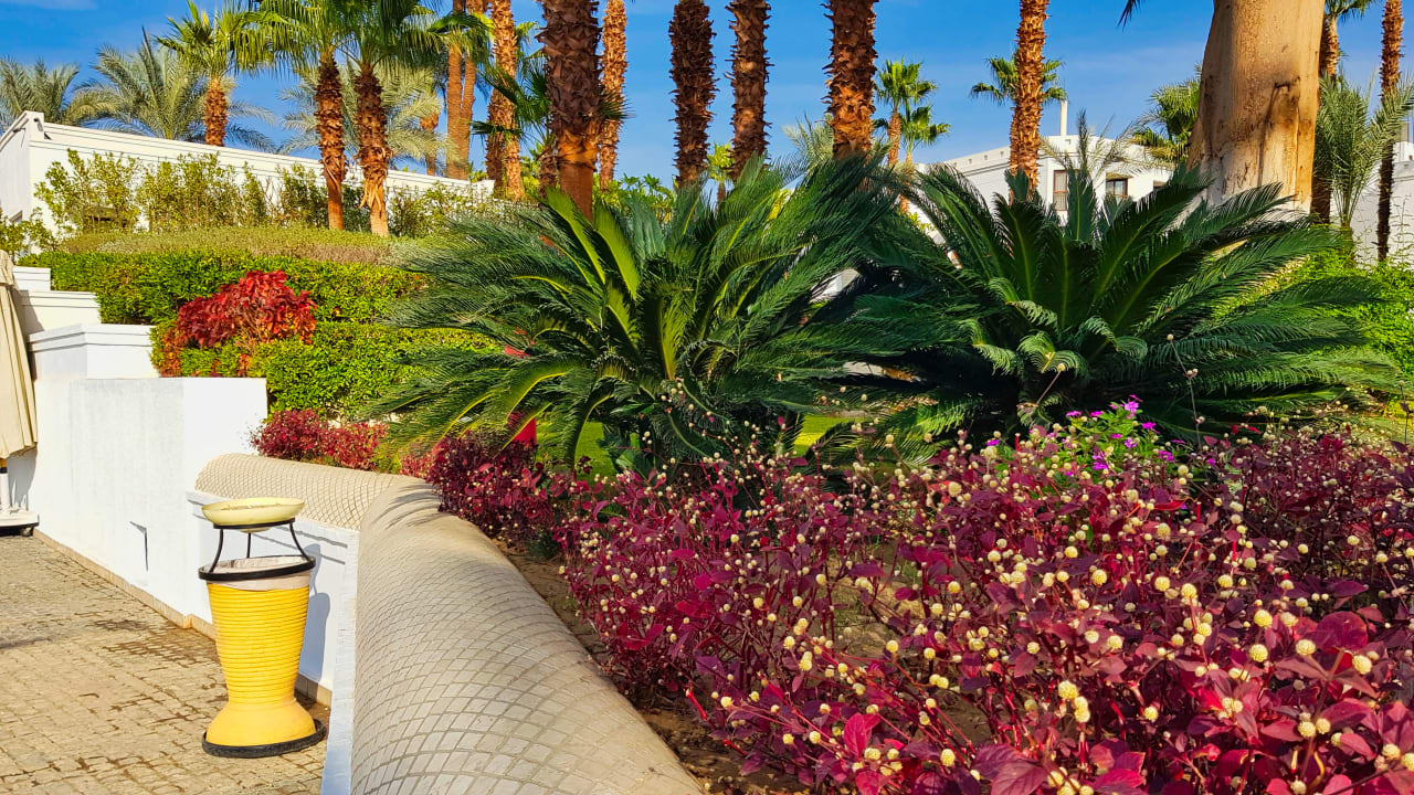 Gartenanlage Hilton Luxor Resort & Spa