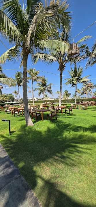 Gartenanlage Salalah Rotana Resort