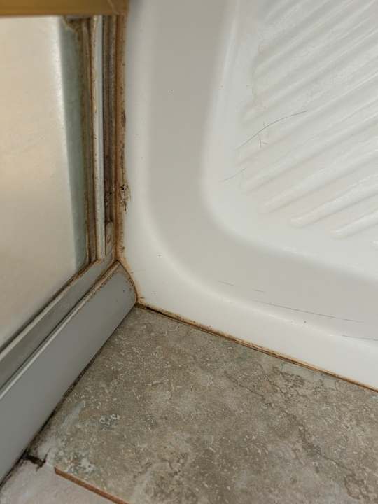 Zimmer Royal Beach Hotel