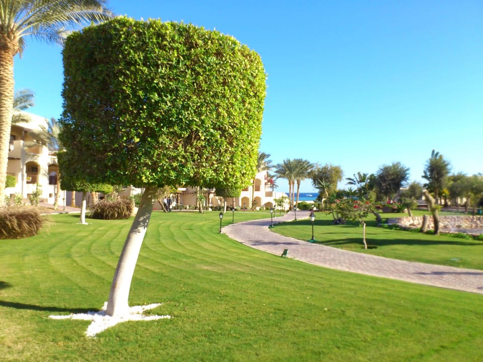 Mit Liebe gepflegt JAZ Belvedere Resort