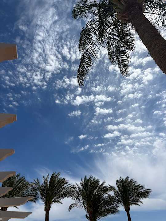 Gartenanlage JAZ Belvedere Resort