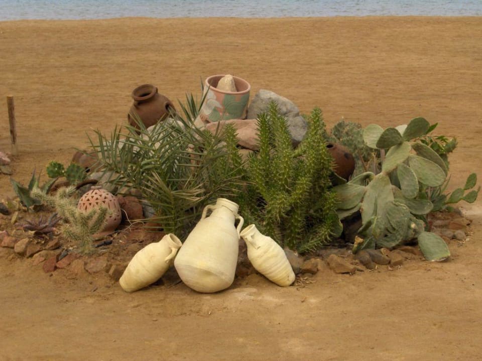 Lagunenstrand Three Corners Rihana Resort Deluxe