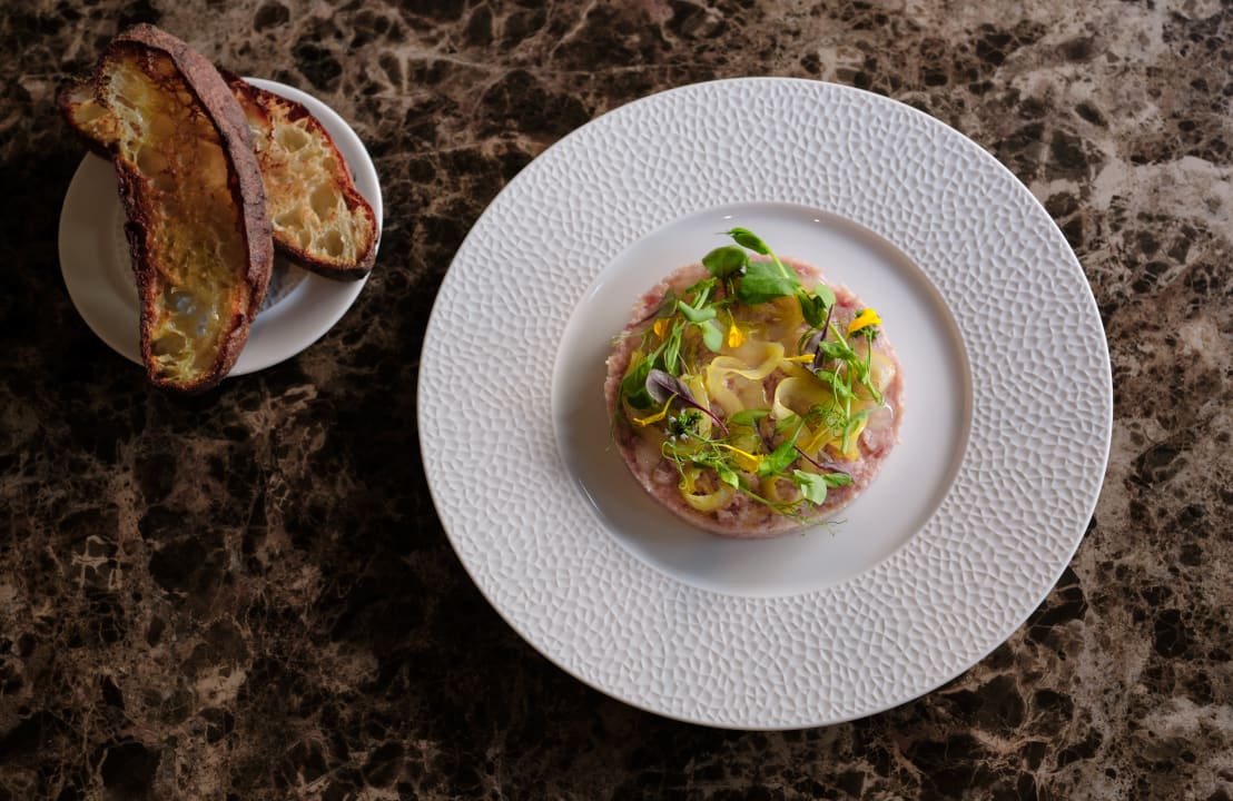 Gastro Hotel Alden Splügenschloss Zürich - Leonardo Limited Edition