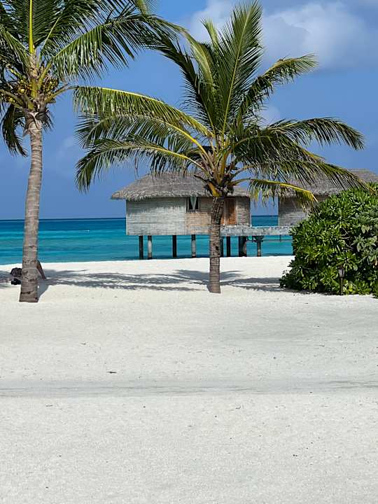 Ausblick You & Me Maldives - Adults Only - Premium All-Inclusive