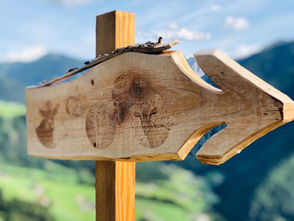 Ausblick Ferienbauernhof Löchlerhof Lüsen Dolomites