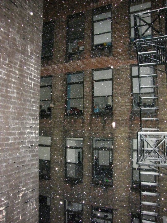 Blick aus Zimmer 1113 Hotel Wolcott