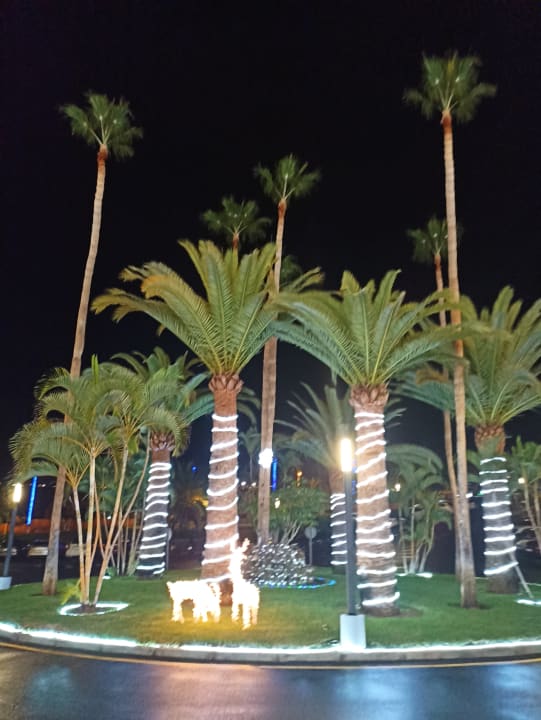 Garten Hotel Riu Arecas - Adults only