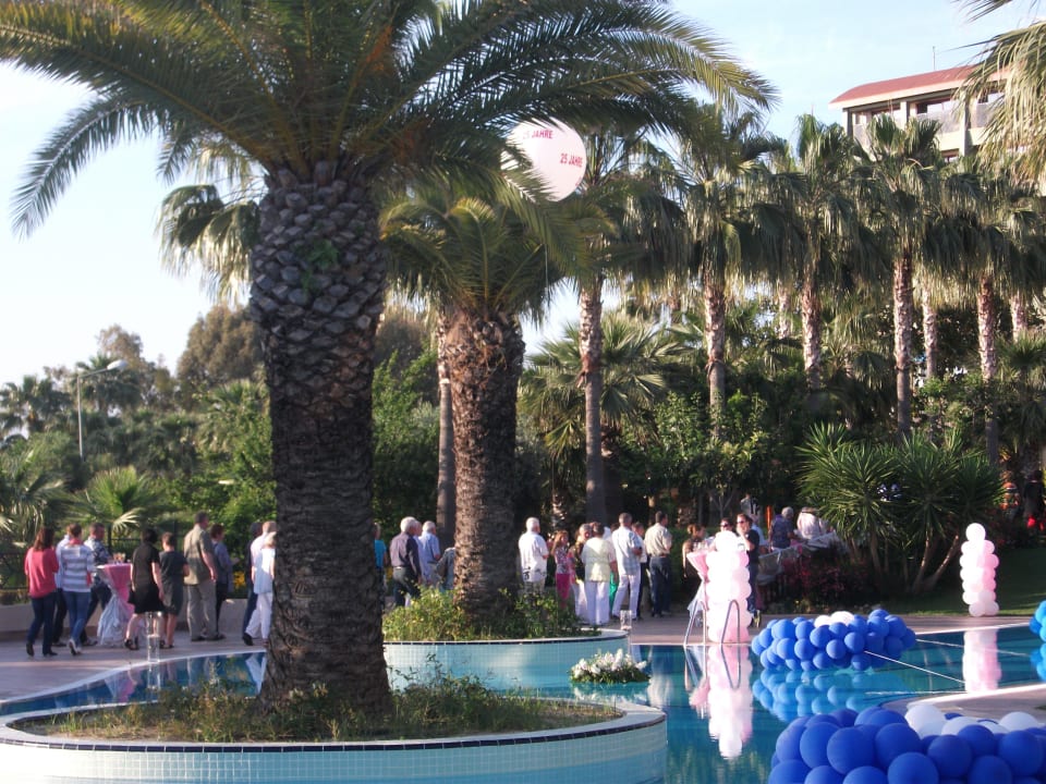 Blick auf den Pool Hotel Grand Side