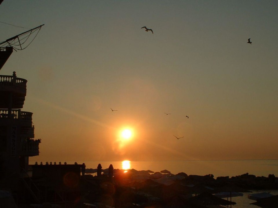 Sonnenaufgang mit Möven SPA Hotel Sirius Beach