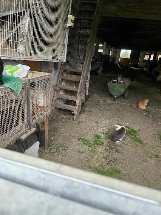 Außenansicht Ferienwohnungen Doblerhof