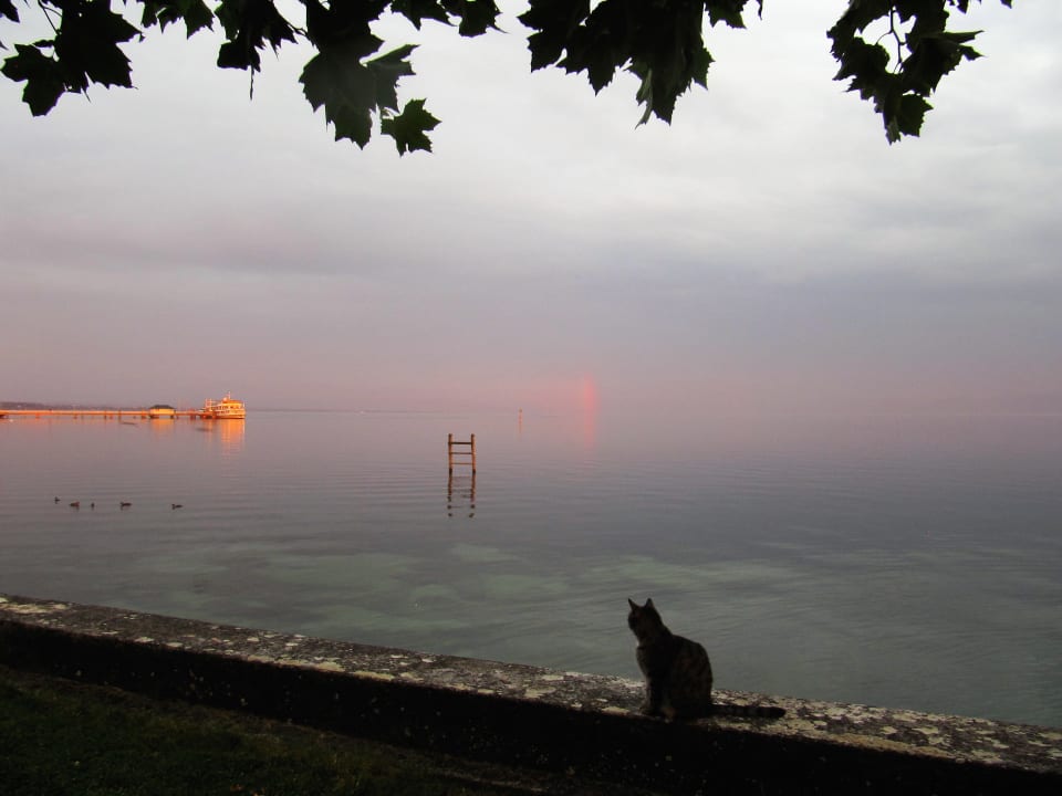 Ausblick Gästehaus Am Bodensee