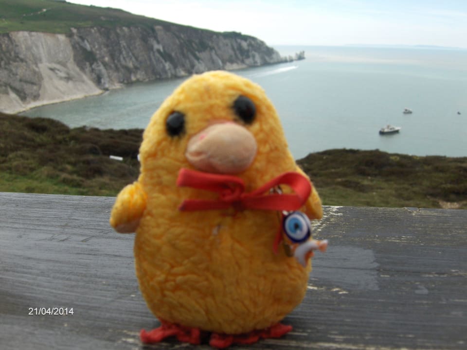 Birthday boy at the needles Ocean View Hotel