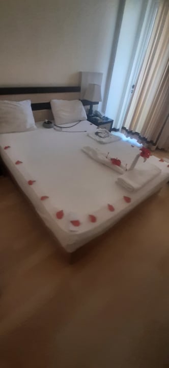 Zimmer Hotel Orfeus Park