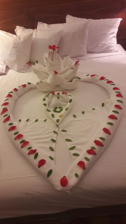 Zimmer Stella Garden Resort & Spa, Makadi Bay