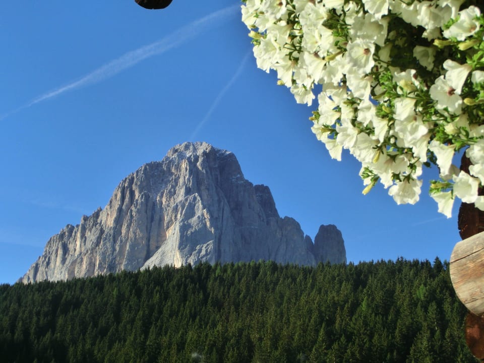 Ausblick auf die Dolomiten Mountain Chalet Pra Ronch