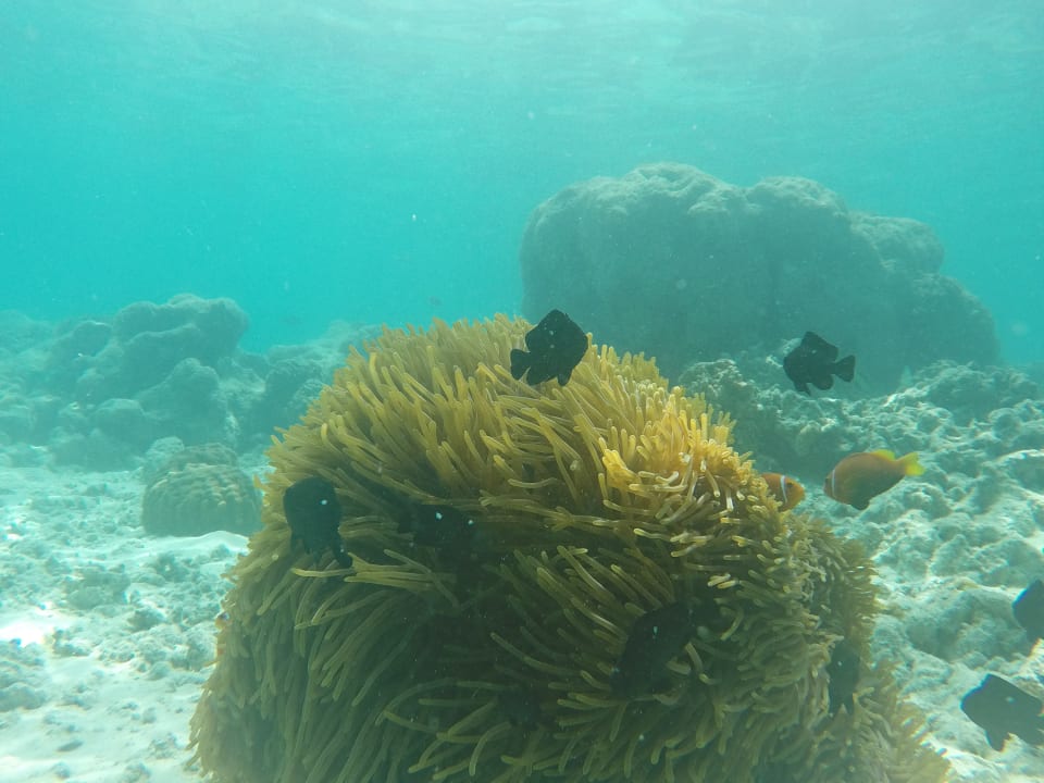 Sport & Freizeit Kuramathi Maldives