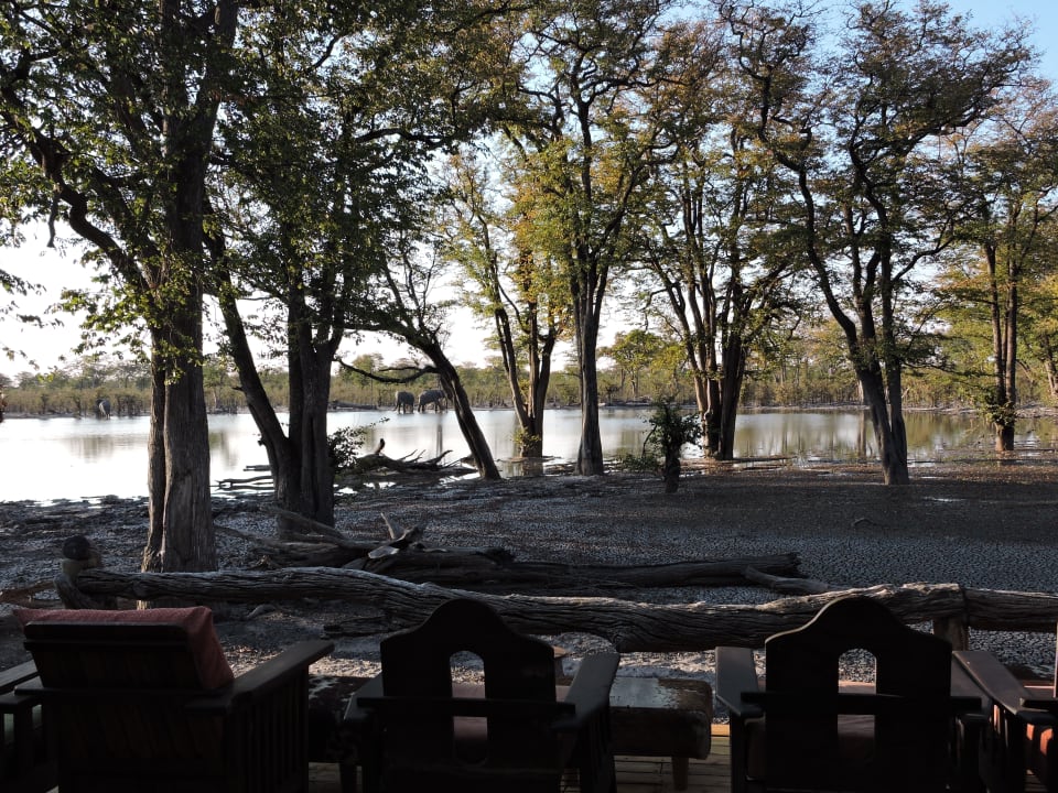 Ausblick Hyena Pan Tented Camp