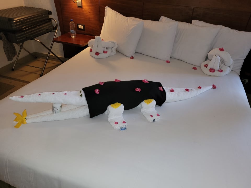 Zimmer Stella Garden Resort & Spa, Makadi Bay