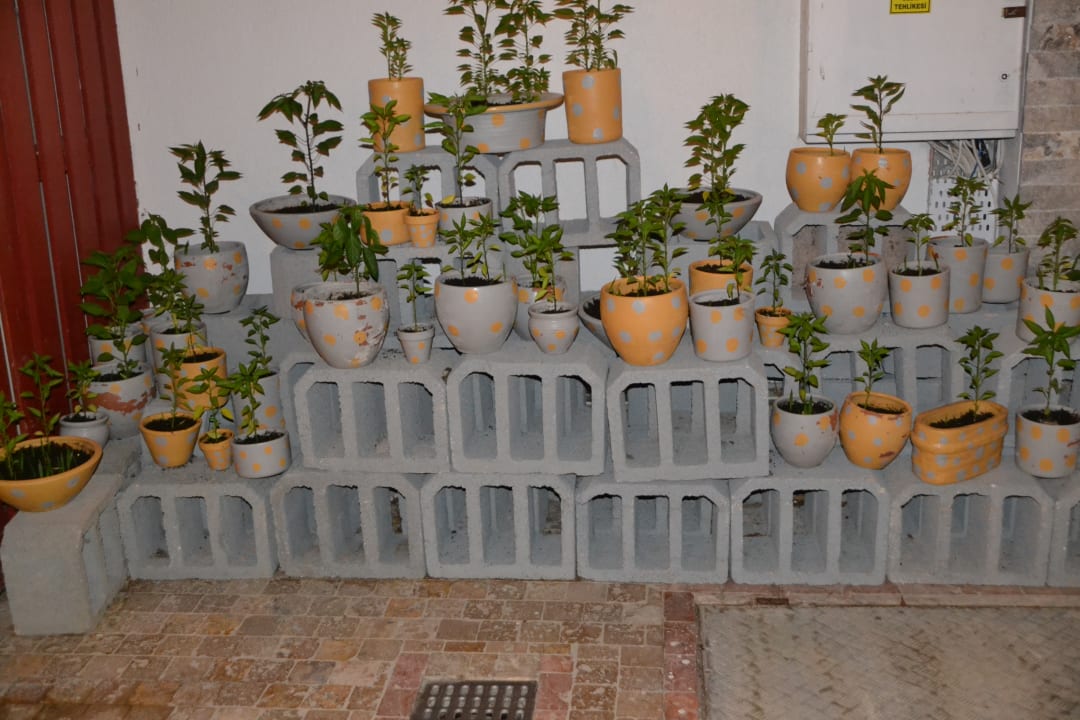 Gartenanlage Hane Family Resort
