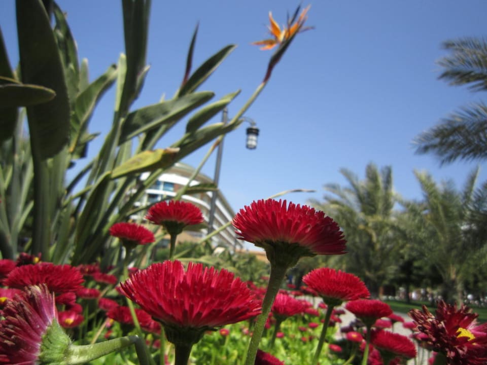 Garten Voyage Belek Golf & Spa