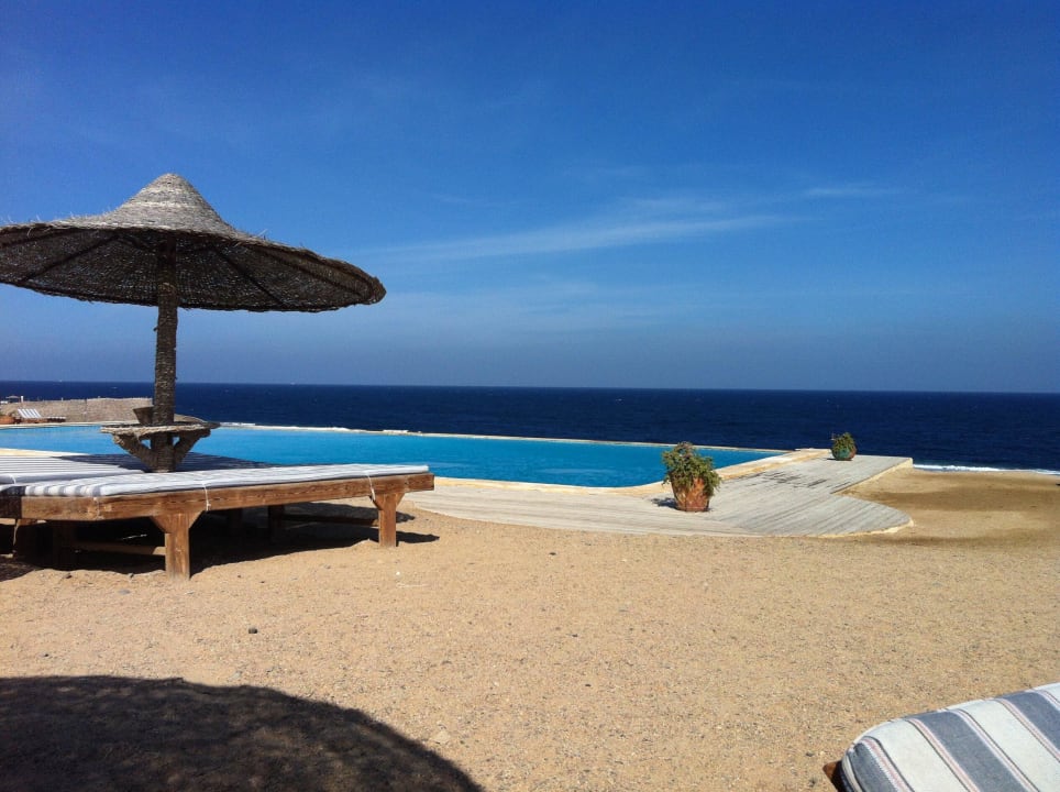 Pool The Oasis Dive Resort