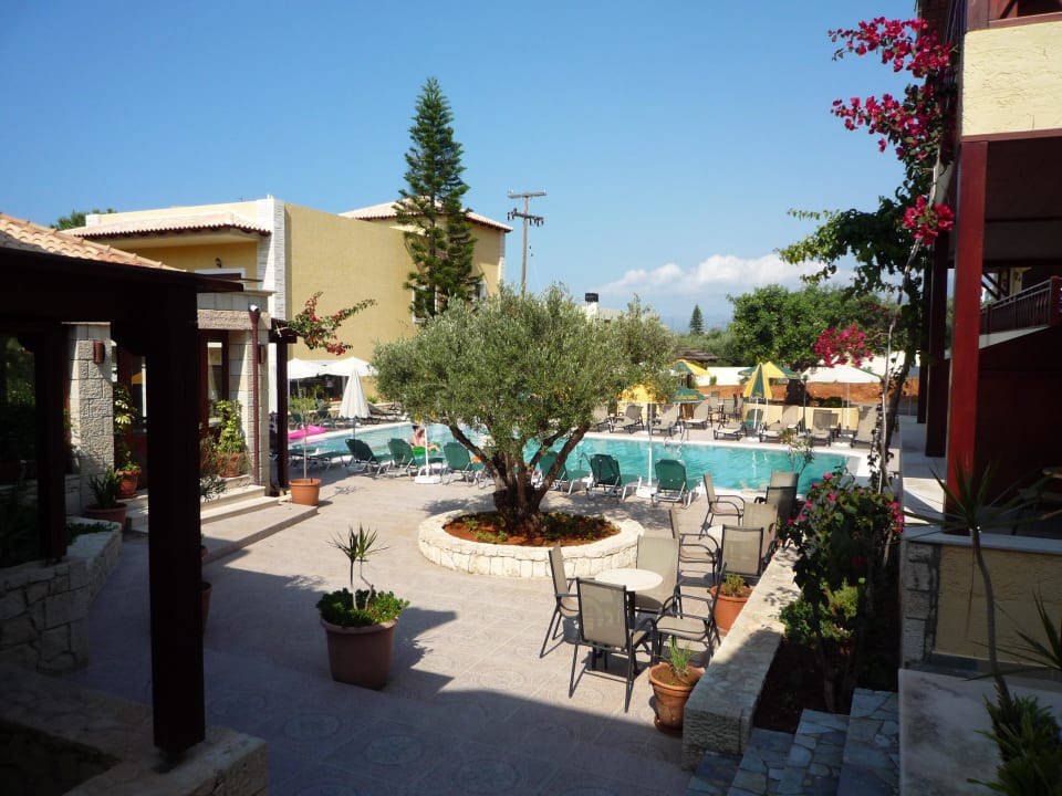 Unser Pool Cactus Beach