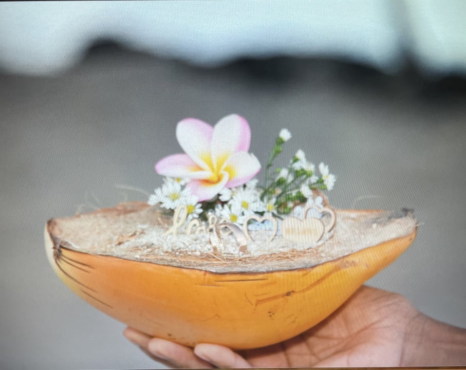 Sonstiges Lagoon Attitude - Adults only