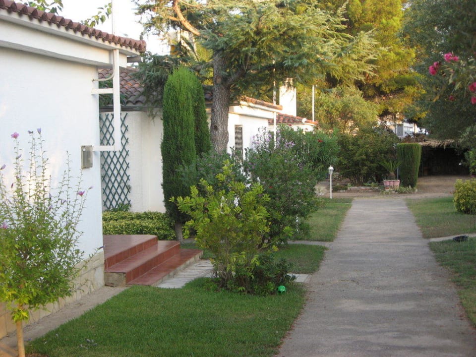 Der Hauptweg Bungalow Park Colibri