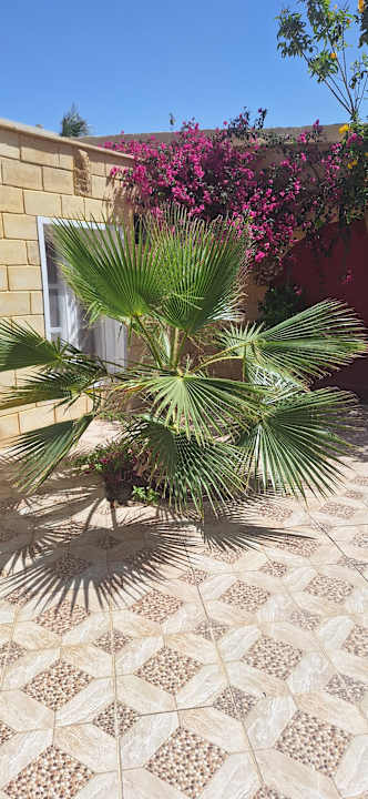 Sonstiges Shams Safaga Resort