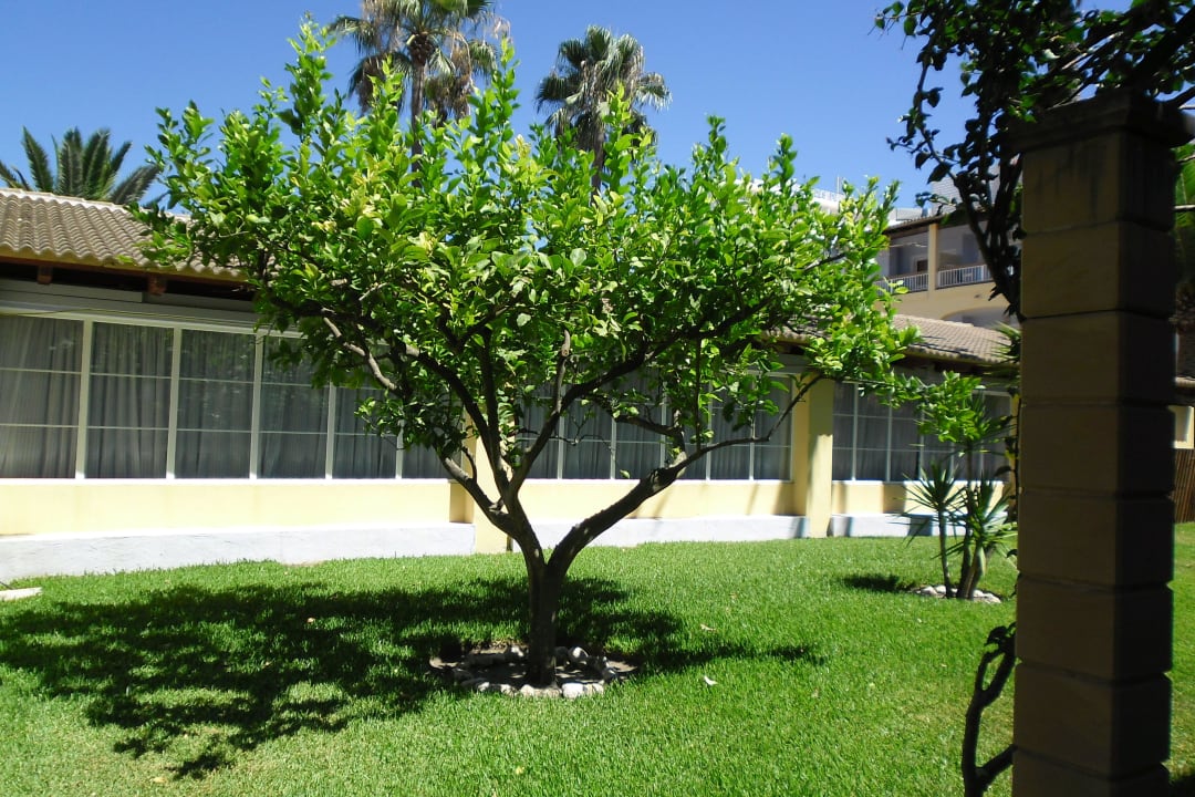 Areál hotela Alcudia Garden Aparthotel