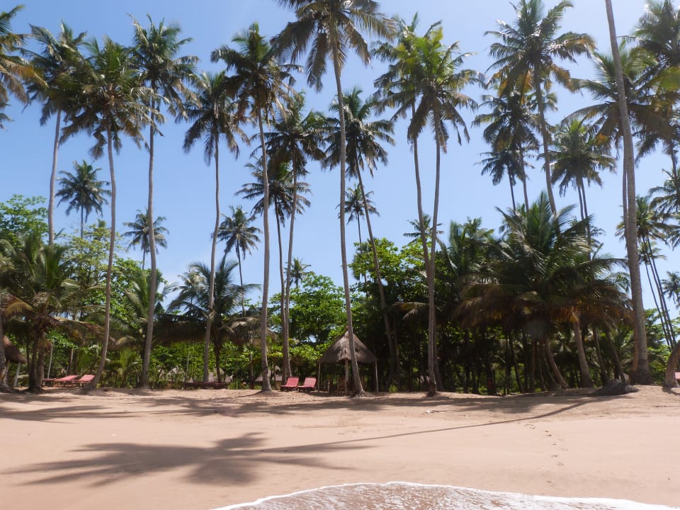 Strand Ankobra Beach Resort