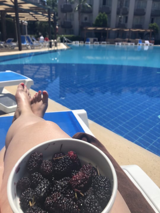 Pool Hotel Orfeus Park