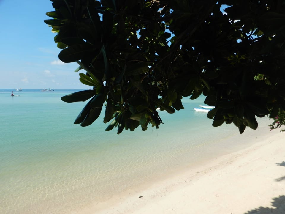 Strand Hotel Big Fish Resort