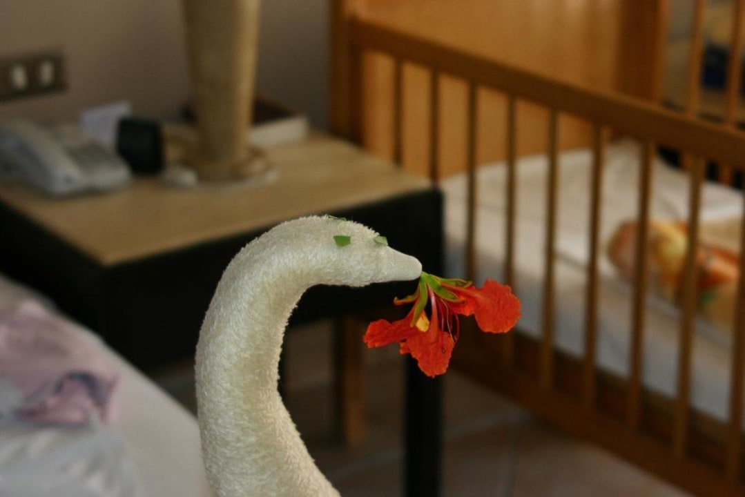 Handtuchkust JAZ Dahabeya